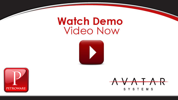 Watch the Petroware Demo Video!